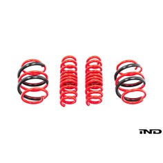 AST G90 M5 Lowering Spring Set | ASTLS-24-146