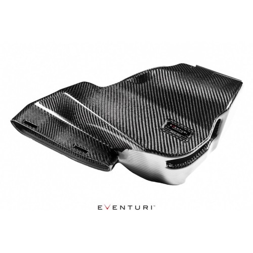 Eventuri Intakes